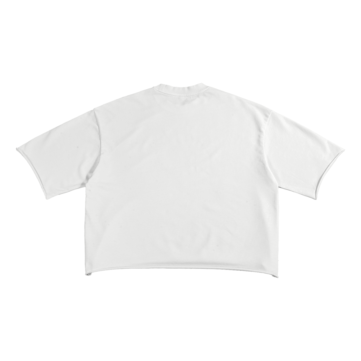 shirt,realestate,cropped